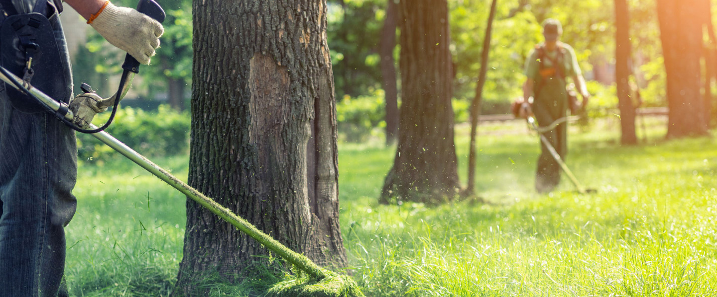 Fulfilling Your Lawn Care Needs in Mason & Hamilton, OH Since 1998