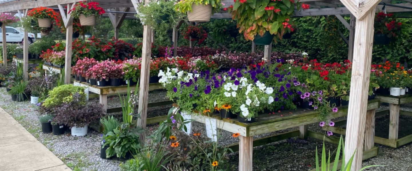 Spring is Almost Here!